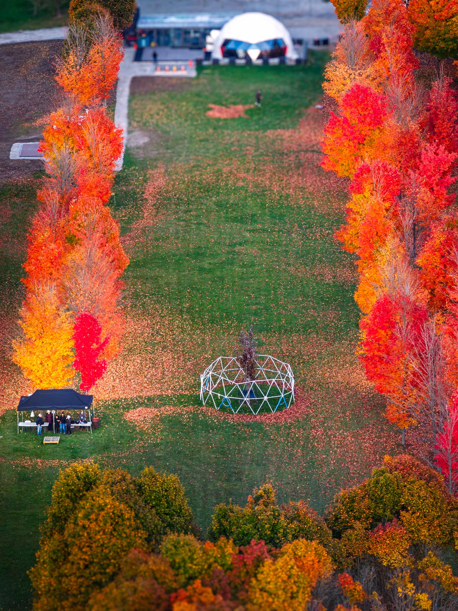 DV_ABOUT_PICTURES_020